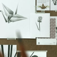 Image 5 of TULIPA CHARTACEA