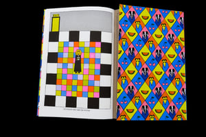 Image of Zine: Caprisonnen