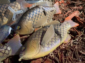 Image of 6” Ann Deluxe (Baby Carp)