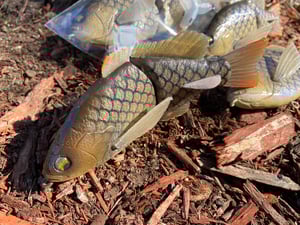 Image of 6” Ann Deluxe (Baby Carp)