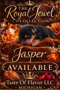 Image 2 of Yorkshire Terrier Deposit 