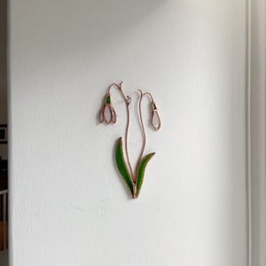 Image of Snowdrop Posie no.1