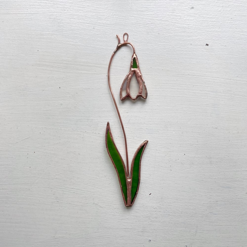 Image of Snowdrop Posie no.2