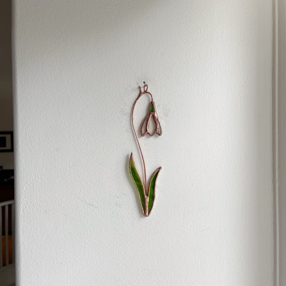 Image of Snowdrop Posie no.2