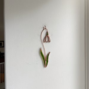 Image of Snowdrop Posie no.2