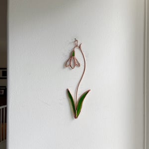 Image of Snowdrop Posie no.3