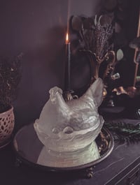 Image 2 of Hen on Nest 