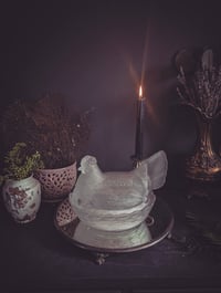 Image 1 of Hen on Nest 