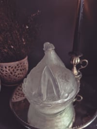 Image 3 of Hen on Nest 