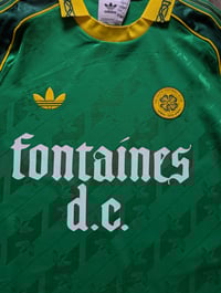 Image 3 of Celtic Origins X Fontanies DC 
