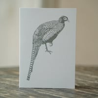 Pheasant Greetings Card