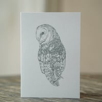 Barn Owl Greetings Card