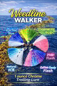 Image 1 of Weedline Walker Trolling Skirt