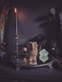 Image 1 of Paper mache owl 