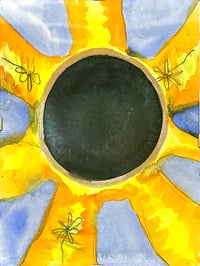 Liz Ahn || 2024 Eclipse