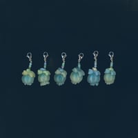 Image 1 of sea angel’s jellyfish 