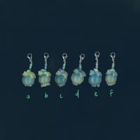 Image 2 of sea angel’s jellyfish 