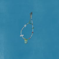 Image 1 of sea angel’s jelly 