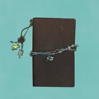 Image 1 of sea angel’s orca