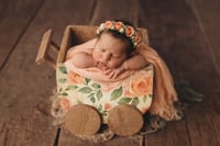 Image 25 of Wood Baby Wagon in differen designs