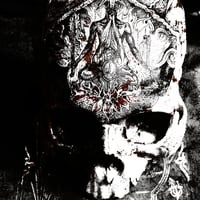 Image 1 of Blight "Temple of Wounds" MC