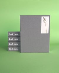 "Brak Lasu" Martyna Miller