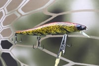 Image 2 of Custom Airbrushed Jerkbait TA 110JR 2676