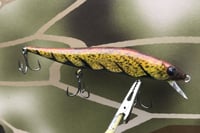 Image 2 of Custom Airbrushed Jerkbait TA 110JR 2691