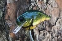 Image 3 of Custom Airbrushed S-CRANK 1.5 Squarebill Crankbait 2808