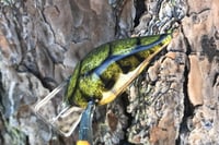 Image 4 of Custom Airbrushed S-CRANK 1.5 Squarebill Crankbait 2808