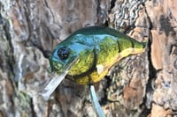 Image 1 of Custom Airbrushed S-CRANK 1.5 Squarebill Crankbait 2808