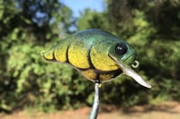 Image 6 of Custom Airbrushed S-CRANK 1.5 Squarebill Crankbait 2808