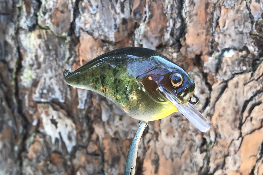  Custom Airbrushed S-CRANK 1.5 Squarebill Crankbait 2850 - Image 4