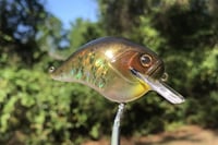 Image 1 of  Custom Airbrushed S-CRANK 1.5 Squarebill Crankbait 2850