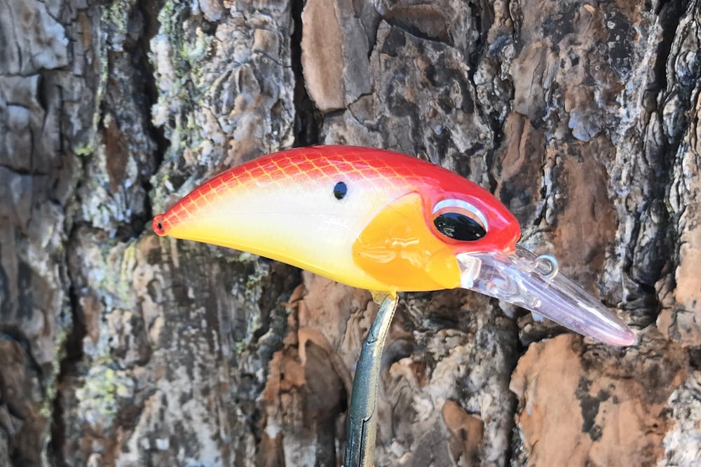 SPEEDBAITS Custom Airbrushed Crankbait 2871 - Image 2
