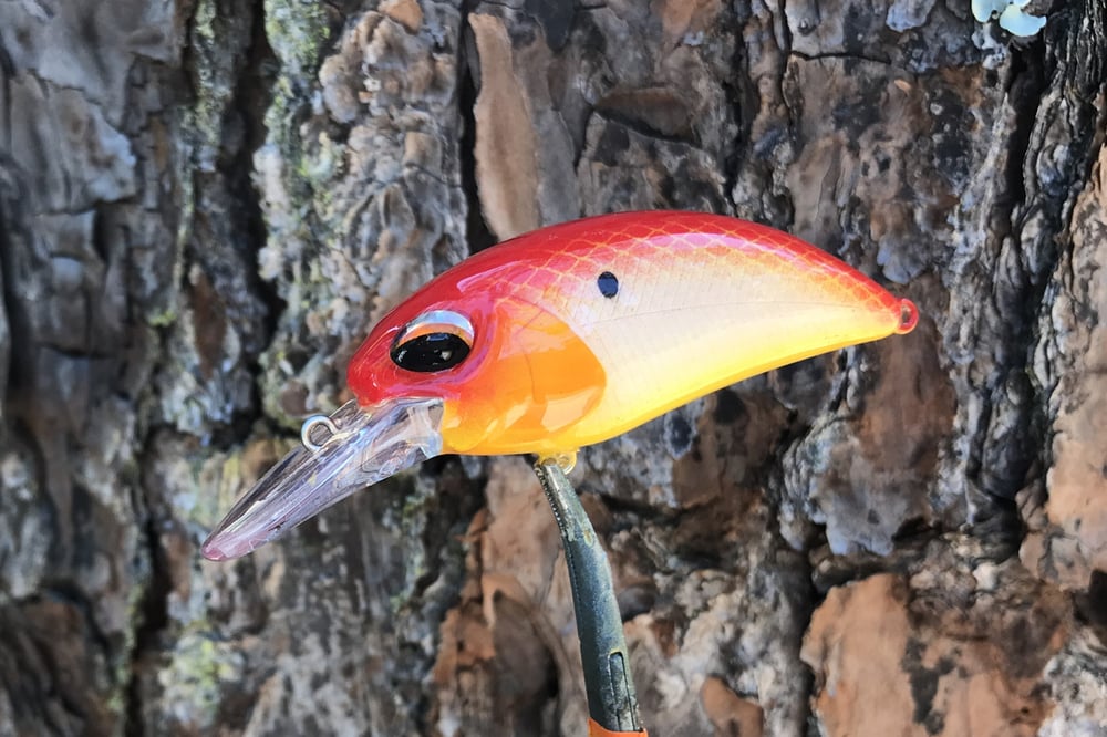 SPEEDBAITS Custom Airbrushed Crankbait 2871
