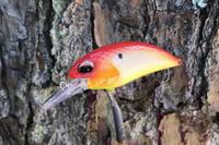 Image 1 of SPEEDBAITS Custom Airbrushed Crankbait 2871