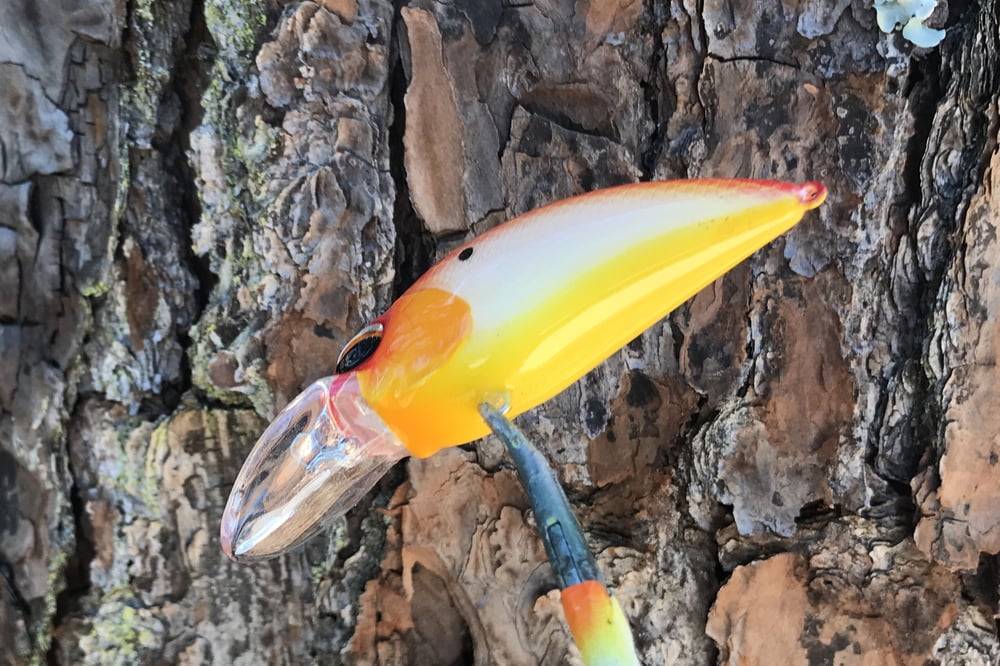 SPEEDBAITS Custom Airbrushed Crankbait 2871 - Image 3