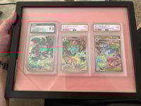 Image 4 of (3 Graded slabs) Mega Evolution Bulbasaur evolution set - Shipping included!