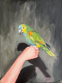 Image 1 of Behold, a parrot!