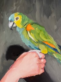 Image 2 of Behold, a parrot!