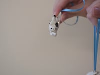 Image 4 of Moon-Climbing Kittens - choose one 