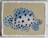 Image 1 of Baby Barra Cod plaster print plaque