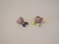 Image 1 of Birds in Boots