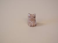 Image 1 of Swirled Kitten 