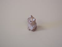 Image 2 of Swirled Kitten 