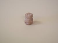 Image 3 of Swirled Kitten 