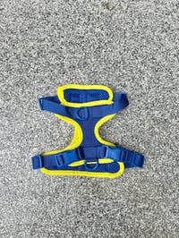 Image 1 of Kai Colourblock Harness