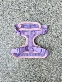 Image 2 of Kai Colourblock Harness