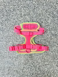 Image 3 of Kai Colourblock Harness